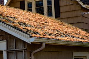 spring roof problems, spring roof damage, roof damage repair, North Port