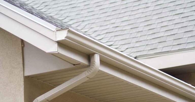 top gutter expert in Tampa FL
