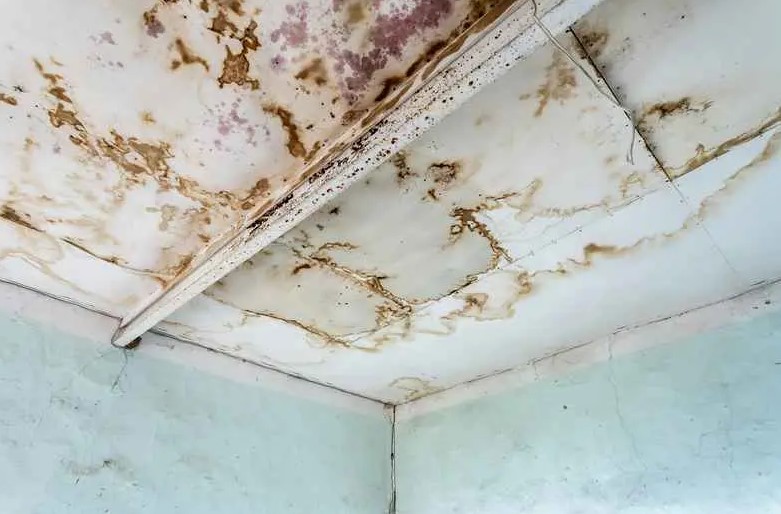 water stains on ceilings - sign you need a new roof in Florida