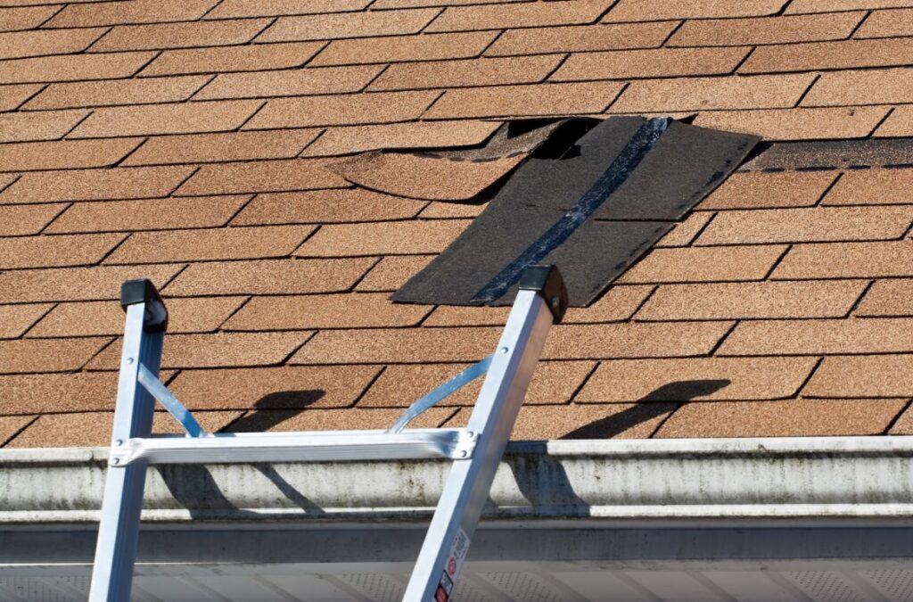 hurricane roof preparation in Florida