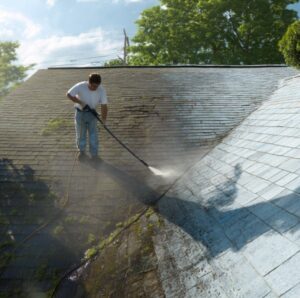 roof algae removal in Florida