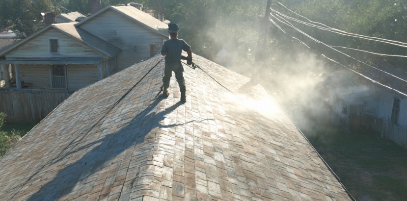 roof mold removal in Florida