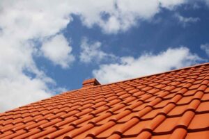 Tile Roof Maintenance Expert in North Port