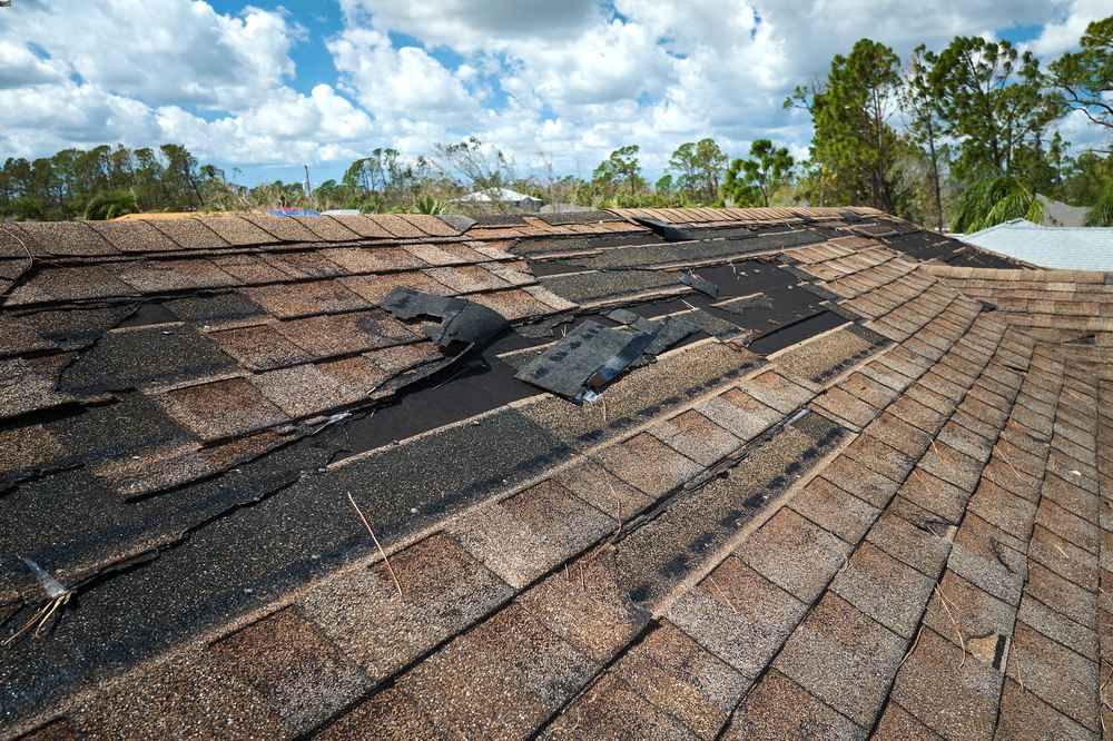 Missing Shingle Expert in North Port